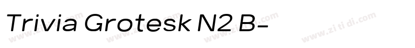 Trivia Grotesk N2 B字体转换